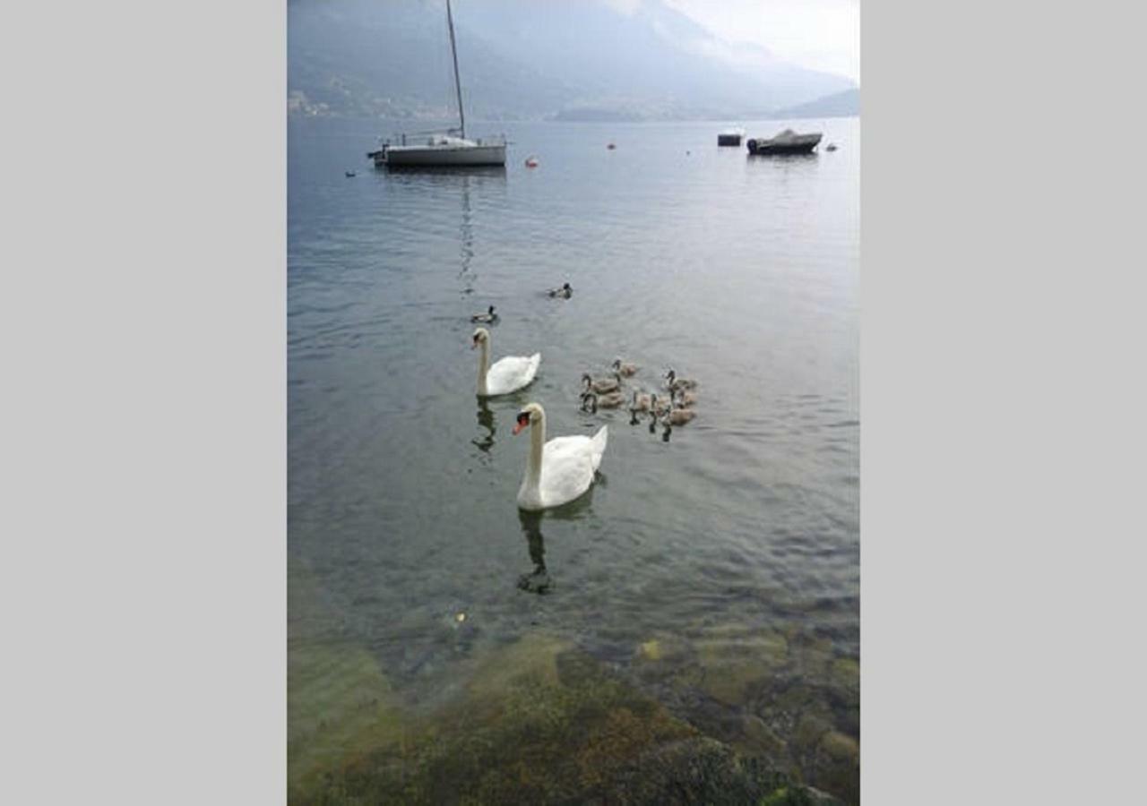 Appartamento Vista Lago - Mary Lezzeno Zewnętrze zdjęcie
